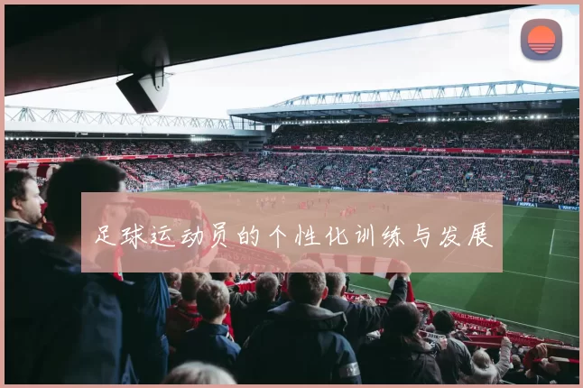 足球运动员的个性化训练与发展