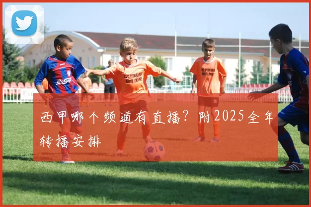西甲哪个频道有直播？附2025全年转播安排