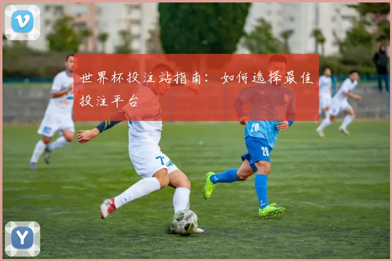 世界杯投注站指南：如何选择最佳投注平台