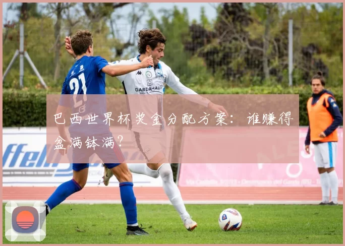 巴西世界杯奖金分配方案:谁赚得盆满钵满?