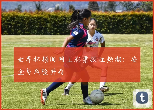 世界杯期间网上彩票投注热潮:安全与风险并存