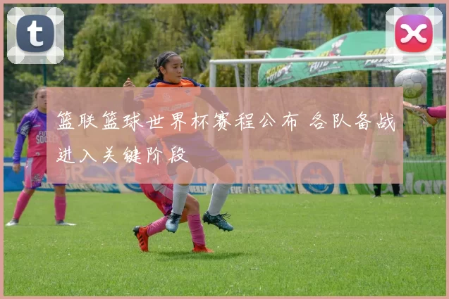 篮联篮球世界杯赛程公布 各队备战进入关键阶段