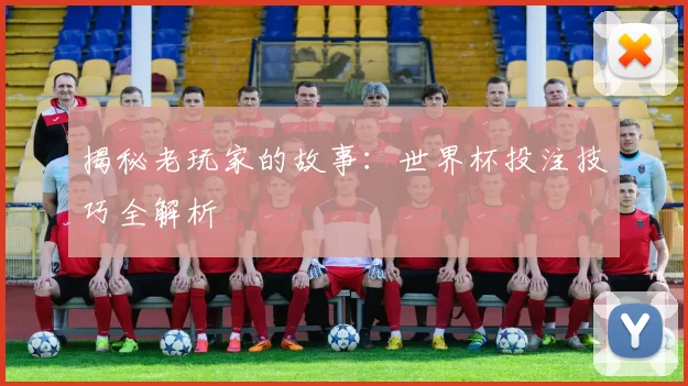 揭秘老玩家的故事:世界杯投注技巧全解析