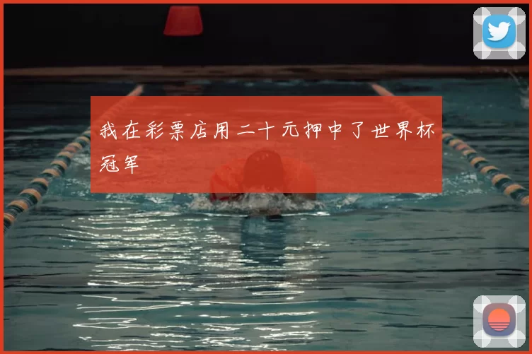 我在彩票店用二十元押中了世界杯冠军
