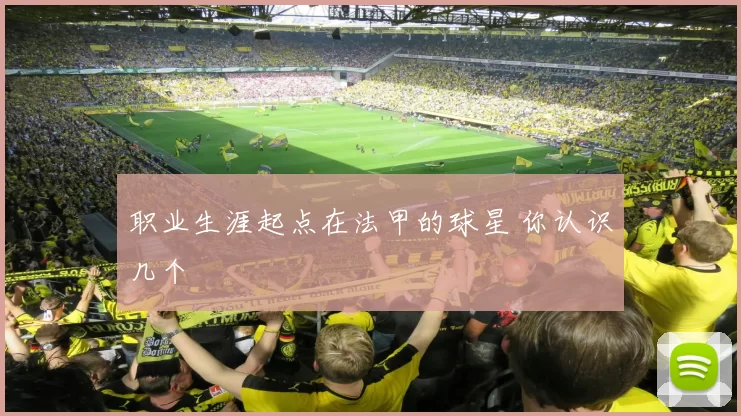 职业生涯起点在法甲的球星 你认识几个