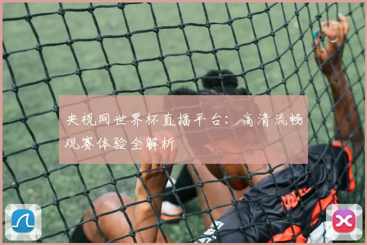 央视网世界杯直播平台：高清流畅观赛体验全解析