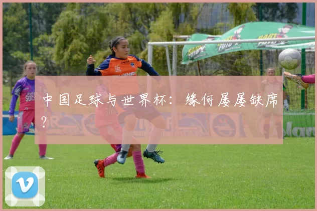中国足球与世界杯:缘何屡屡缺席?