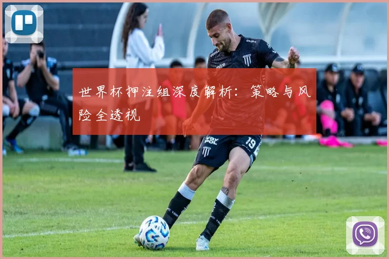 世界杯押注组深度解析:策略与风险全透视