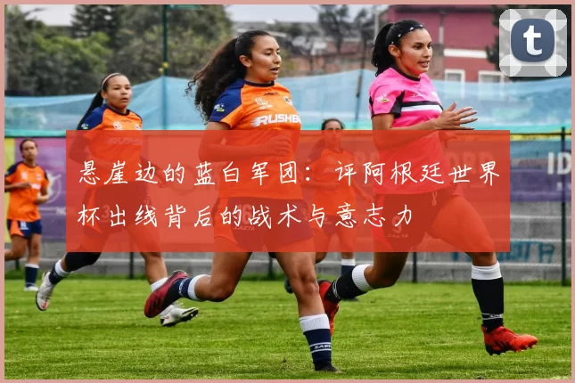 悬崖边的蓝白军团:评阿根廷世界杯出线背后的战术与意志力