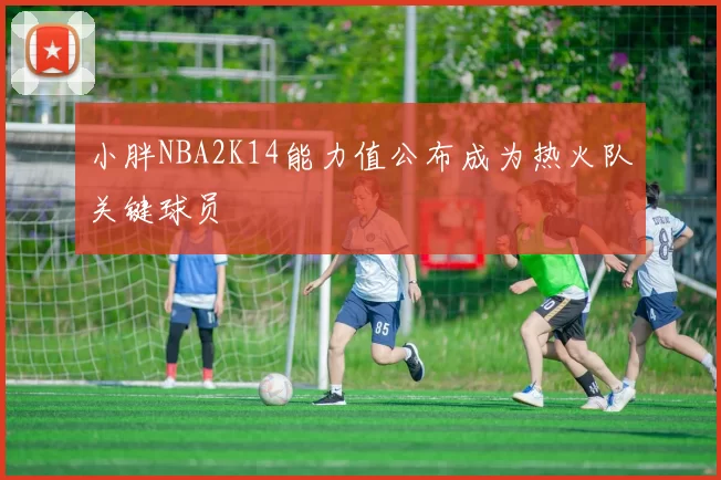 小胖NBA2K14能力值公布成为热火队关键球员