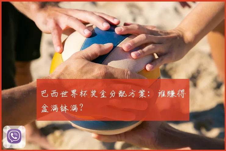 巴西世界杯奖金分配方案:谁赚得盆满钵满?