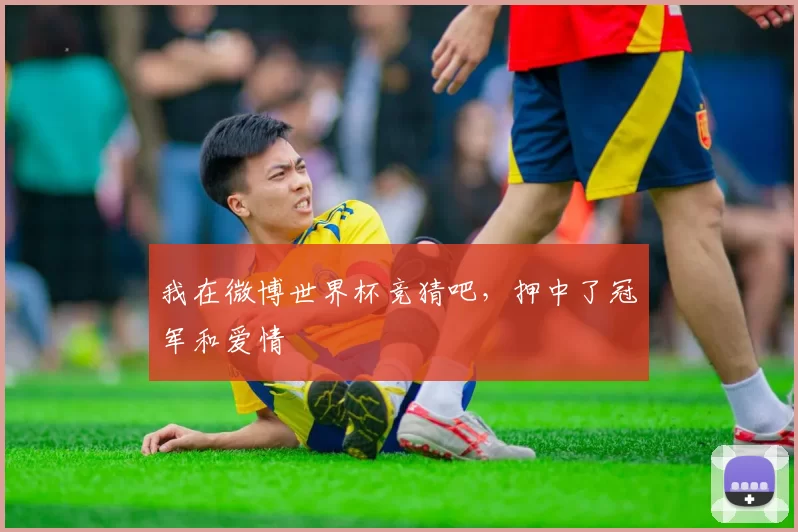 我在微博世界杯竞猜吧，押中了冠军和爱情