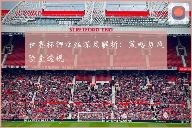 世界杯押注组深度解析:策略与风险全透视