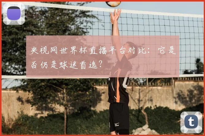 央视网世界杯直播平台对比：它是否仍是球迷首选？