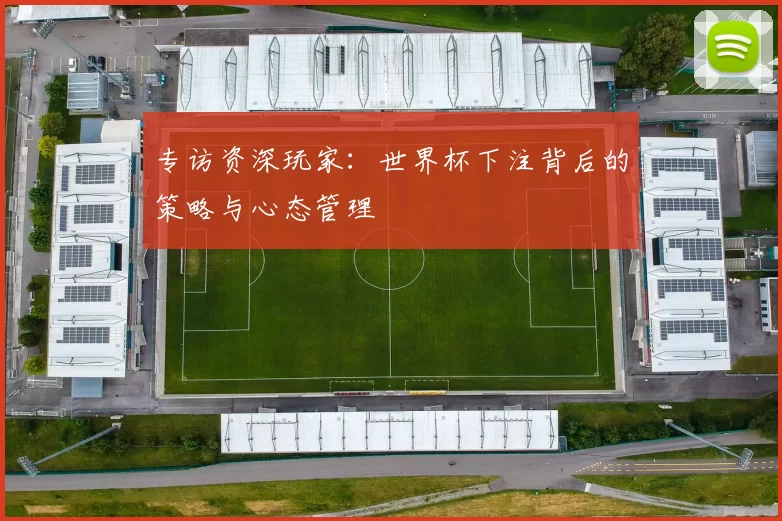 专访资深玩家:世界杯下注背后的策略与心态管理
